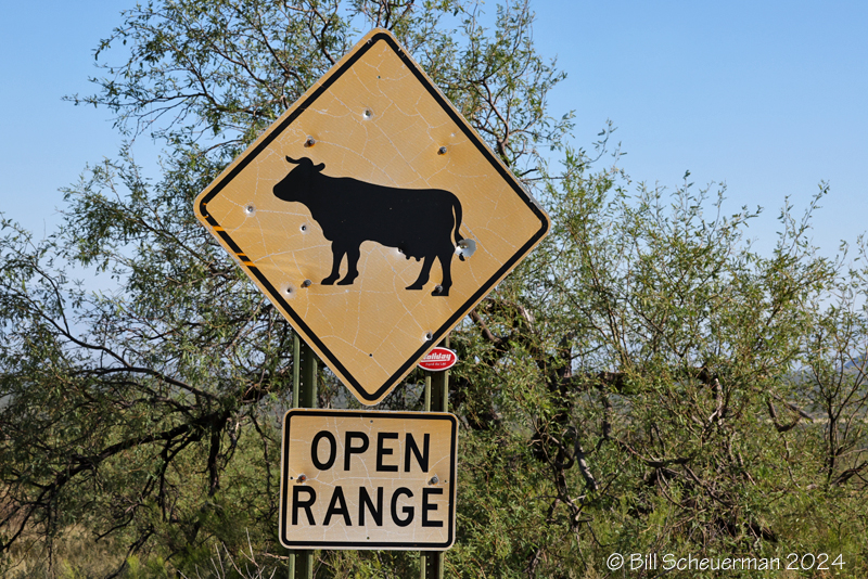Madera Canyon, AZ