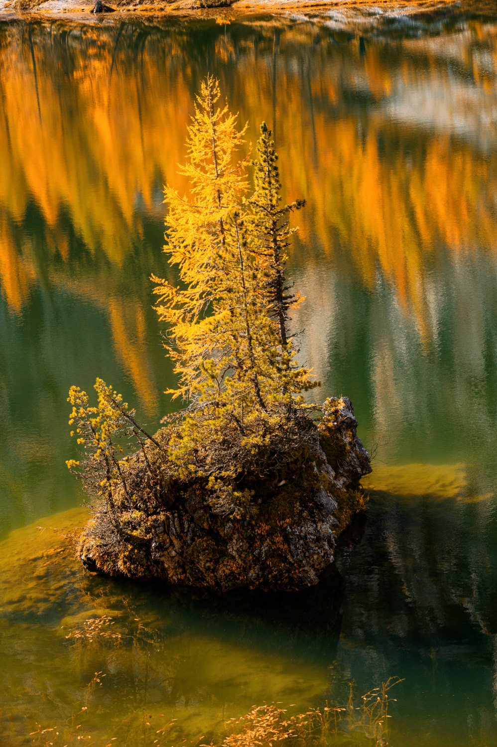_DSC2315-Modifier_vignettes.jpg
