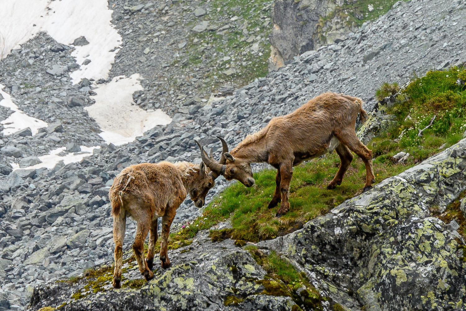 _DSC0871_vignettes-2_01.JPG