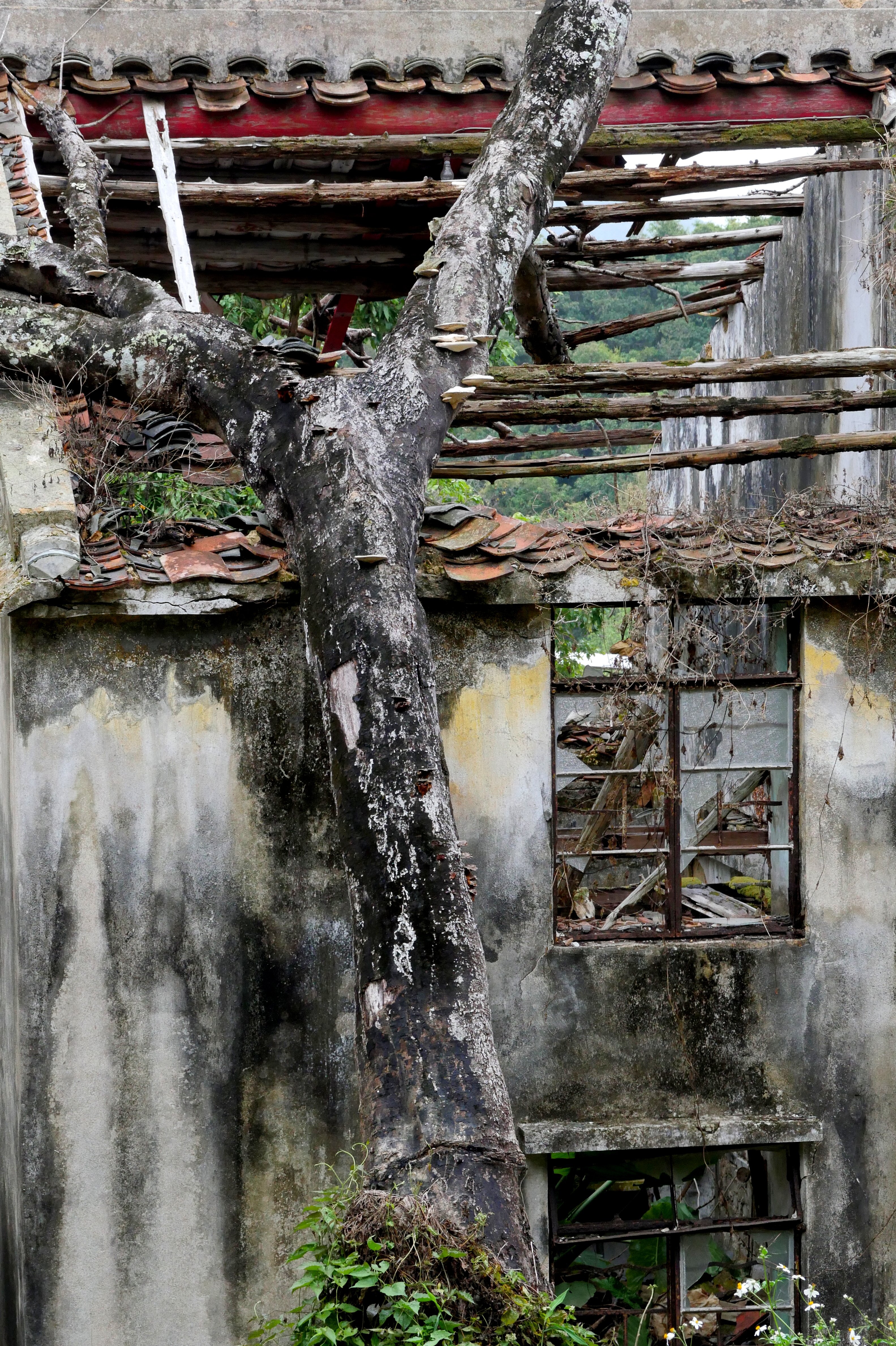 P1080277.JPG