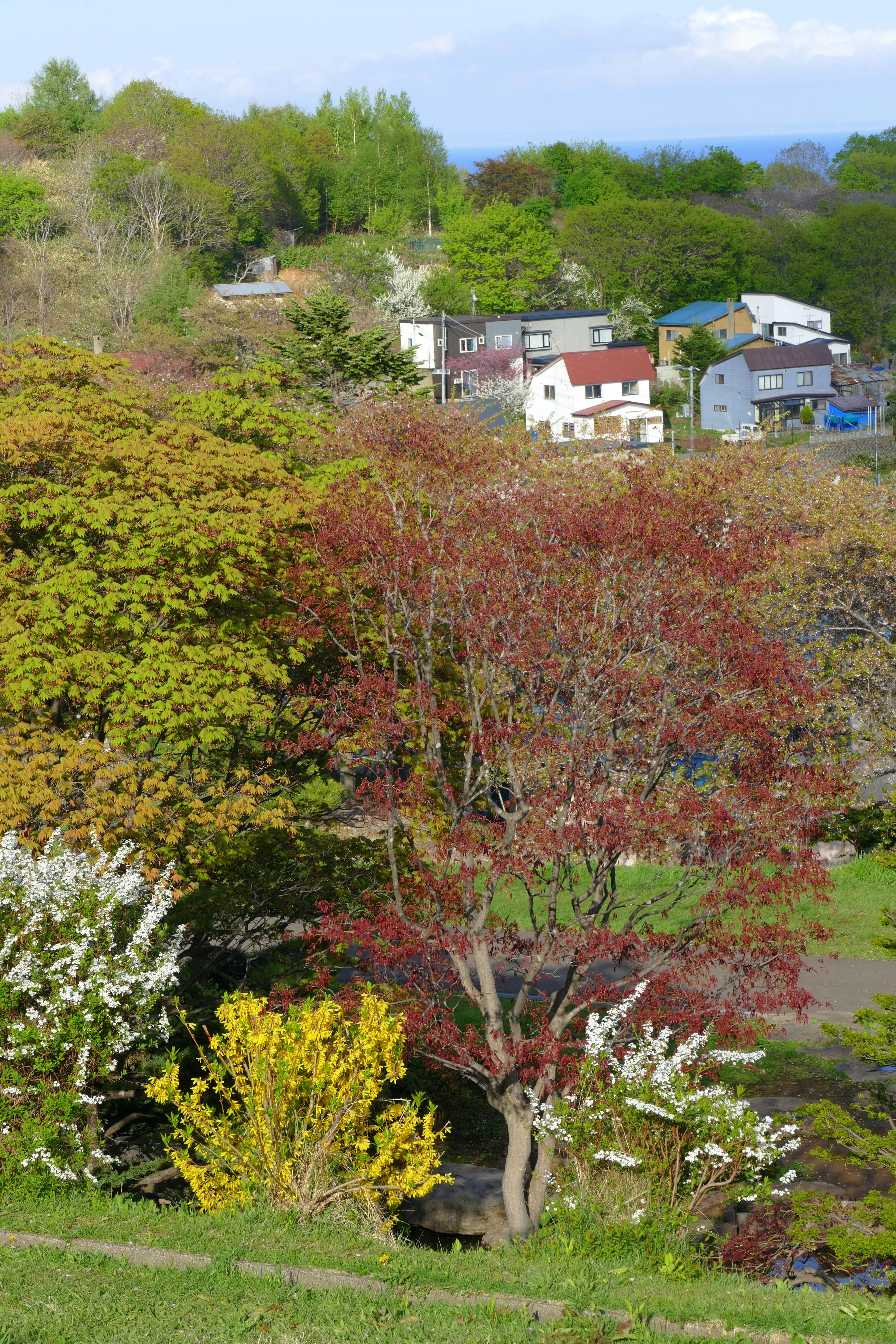 L1040176.JPG