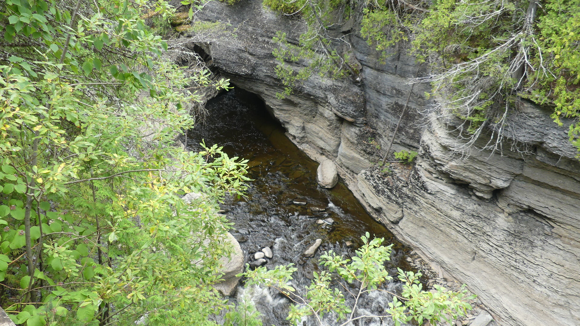P1060324.JPG