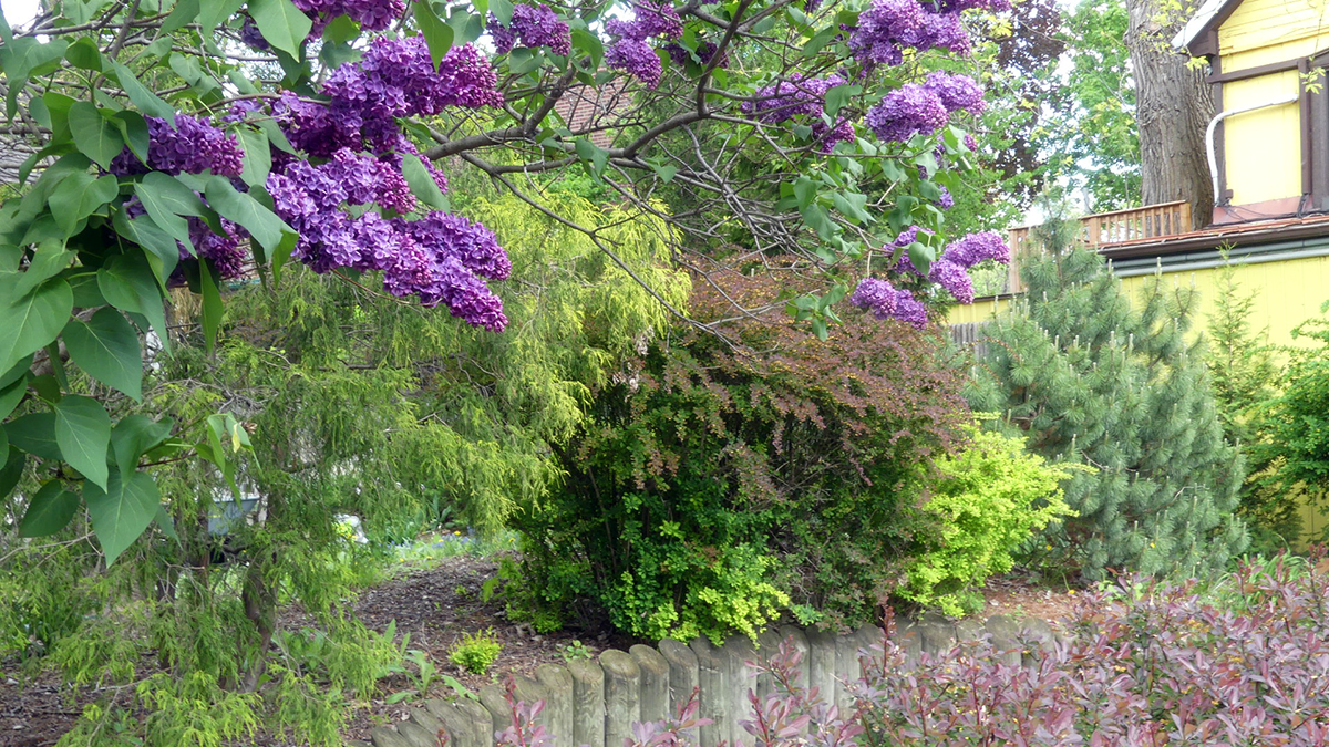 P1100184.JPG