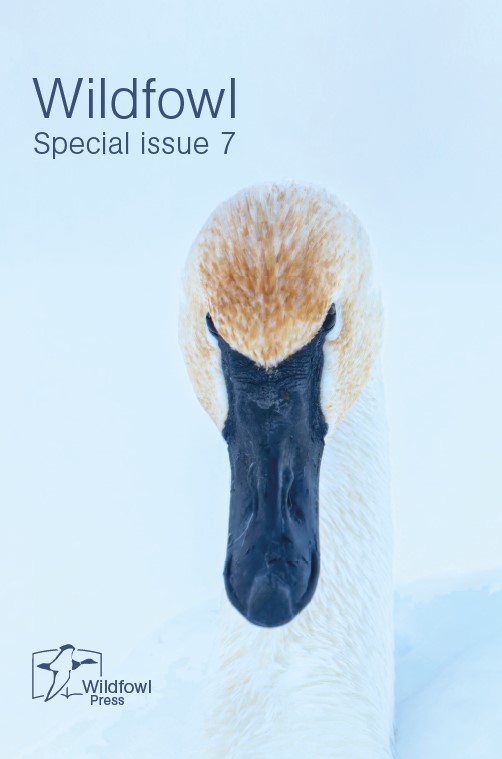 o12/16/890416/1/175443355.EVrTIfgN.cover_issue_311_en_US2.jpg