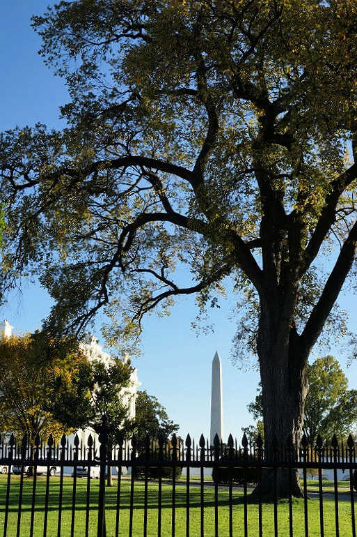 Washington DC