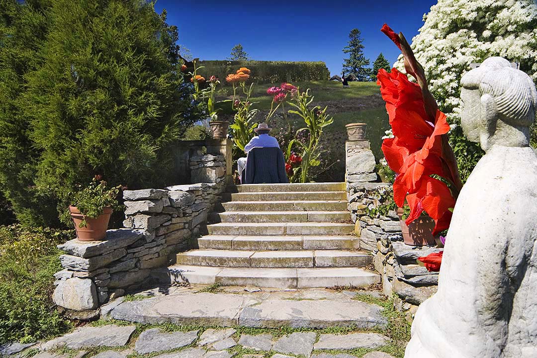 The Garden