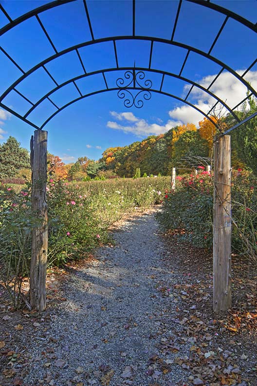 Wickham Park