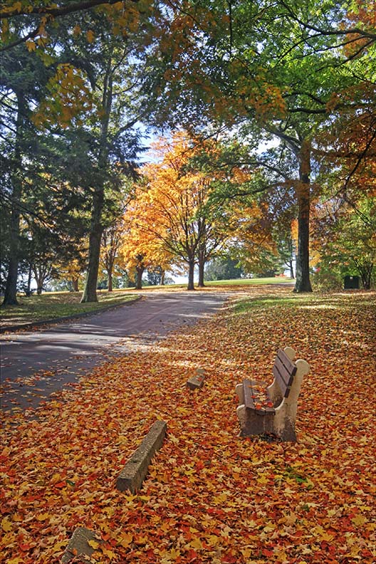 Wickham Park