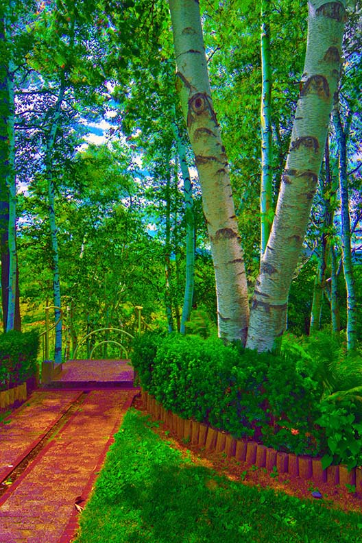 Tinted Postcard Simulation