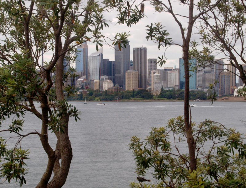 City skyline from Robertsons Point