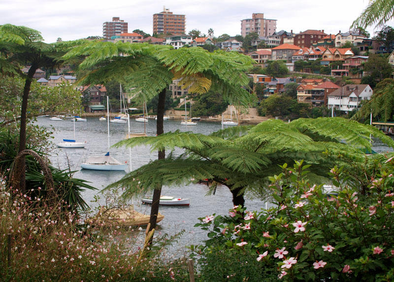 Mosman Bay  garden view