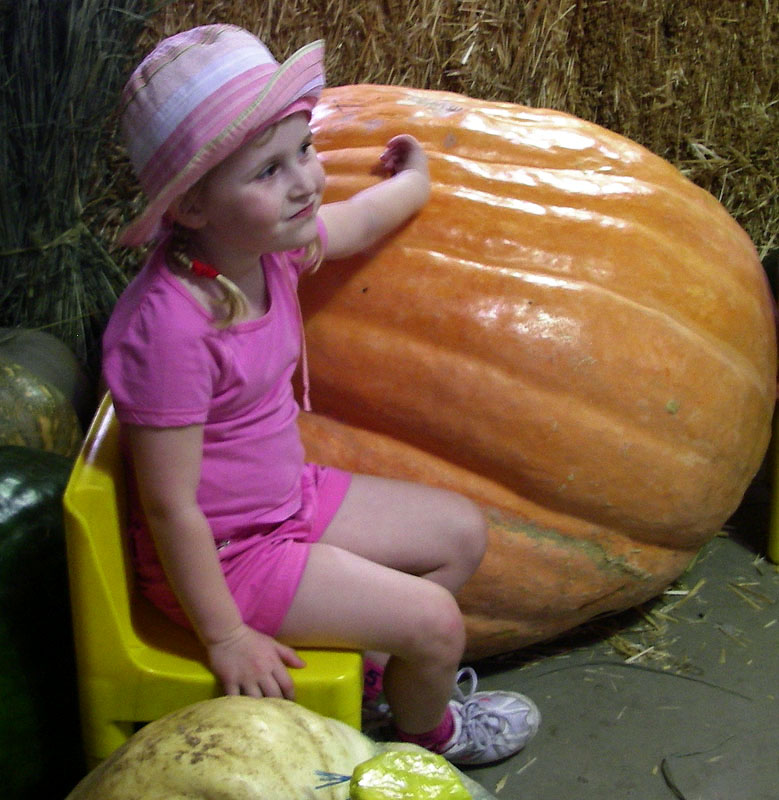 Small girl, big pumpkin
