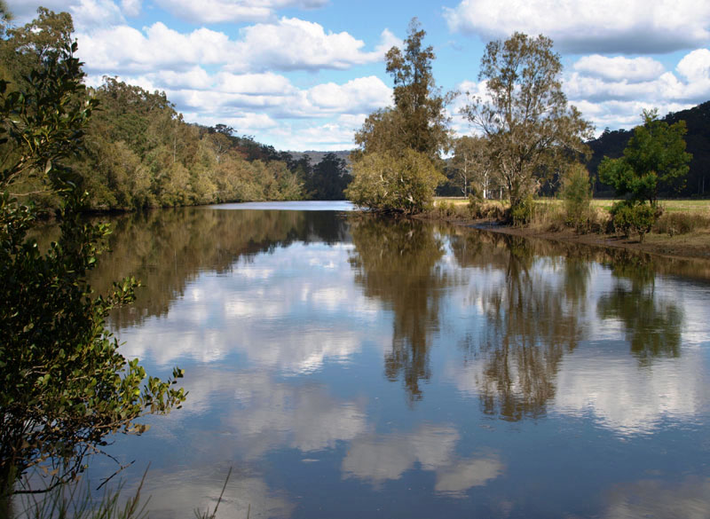 Mangrove Creek