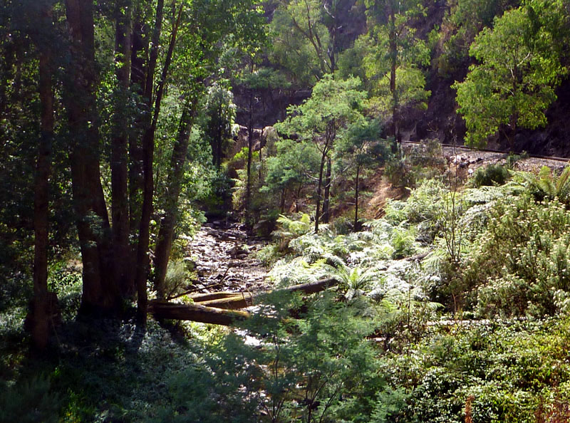 Seen from the train window