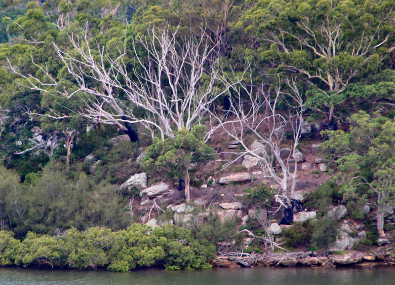 Long view from the opposite shore