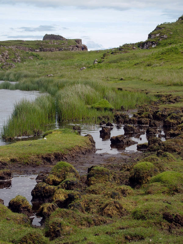 1528: The lakes edge