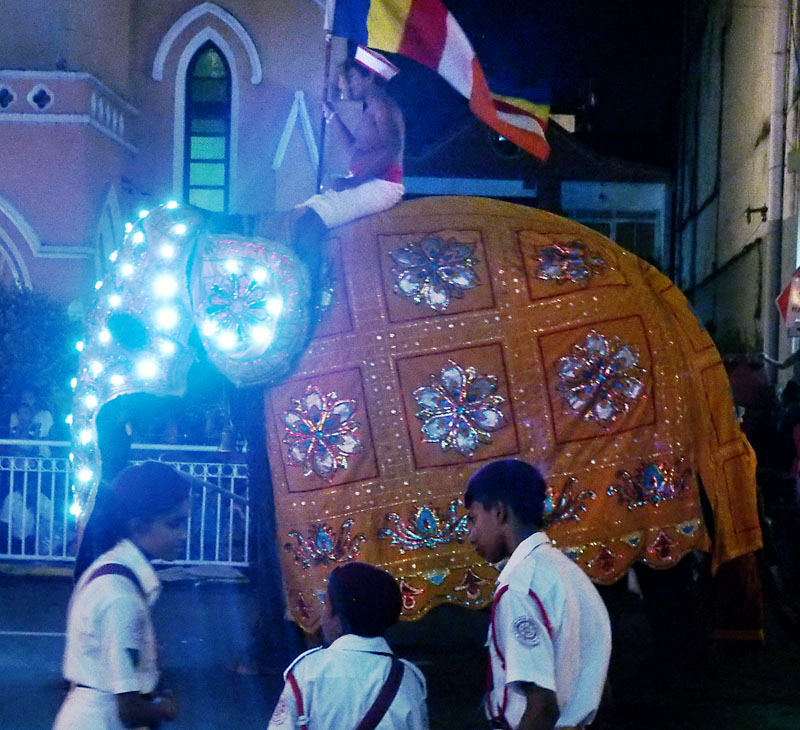 Perehera Festival 1302