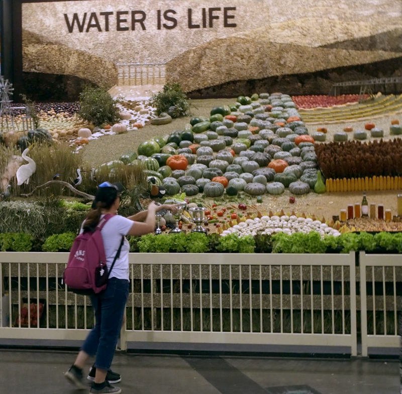 Water is Life and an observer