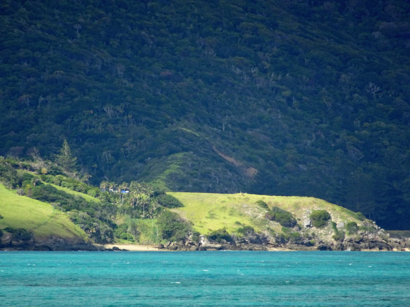 Sunlit point, Mount Lidgbird behind