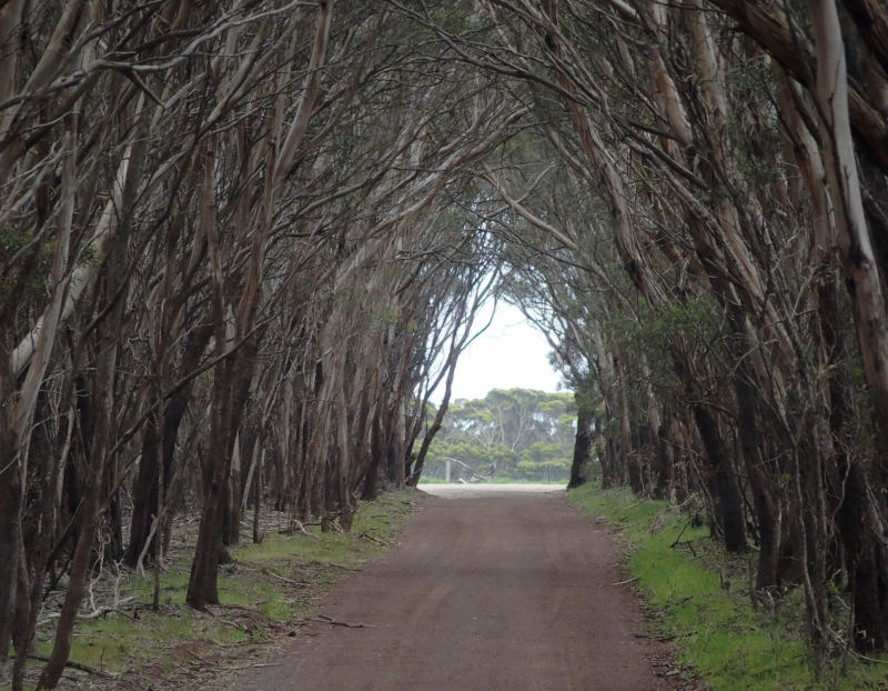 Driveway to a farm