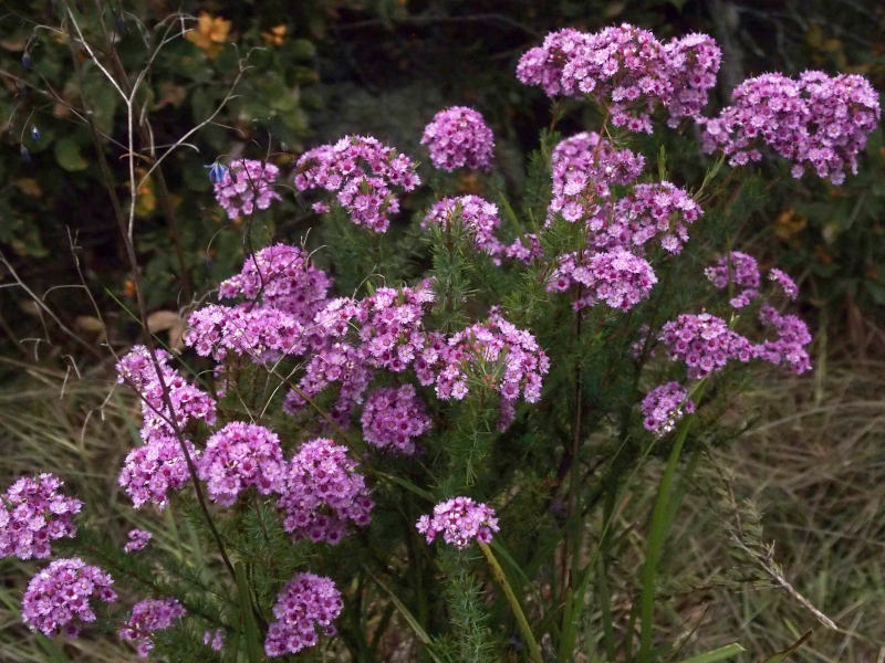 zA092943.JPG