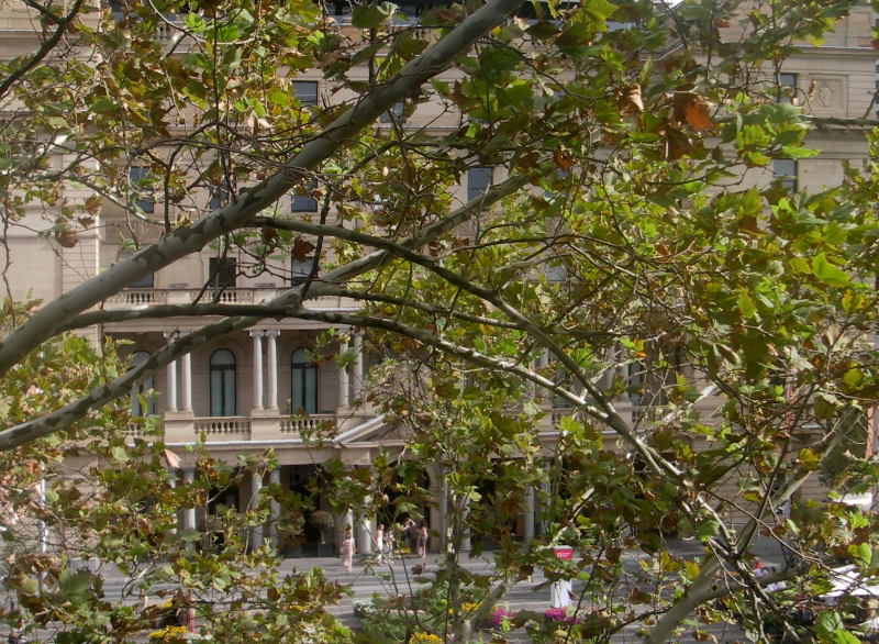 Old Customs House seen through trees 