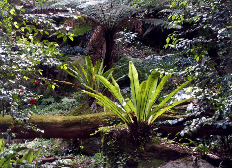 z1011114.JPG