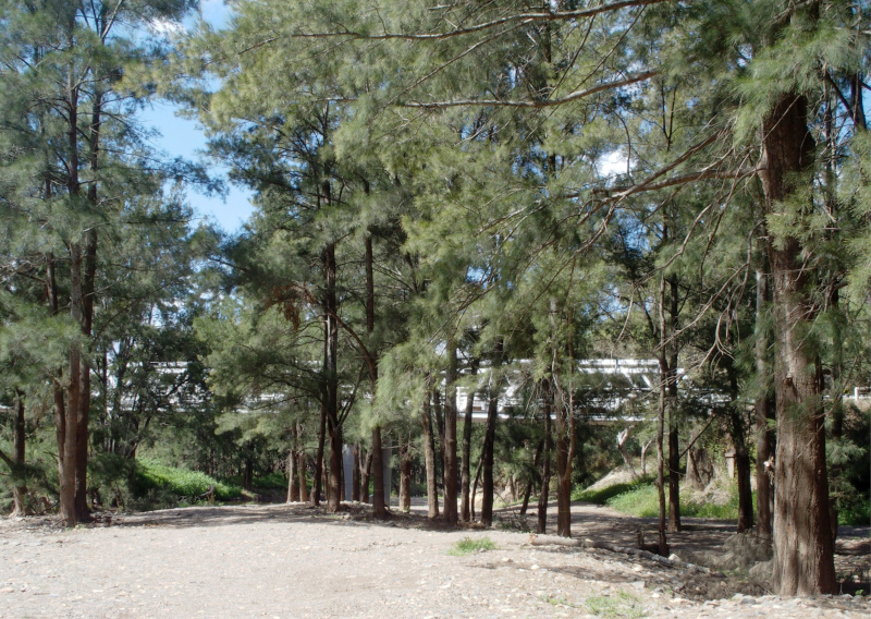 Road bridge at Wallaby Rocks