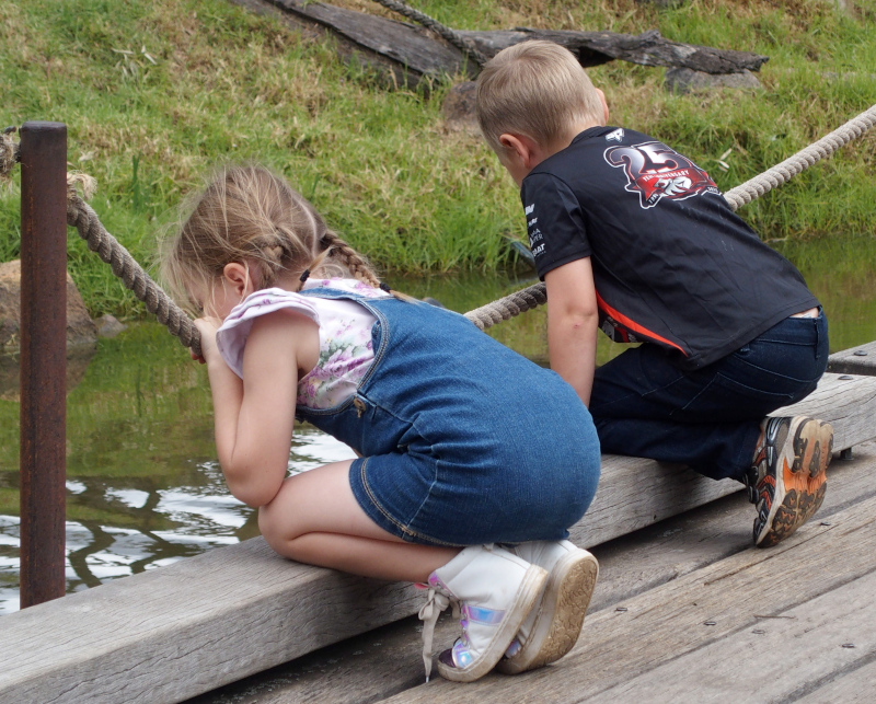 Children watching turtles