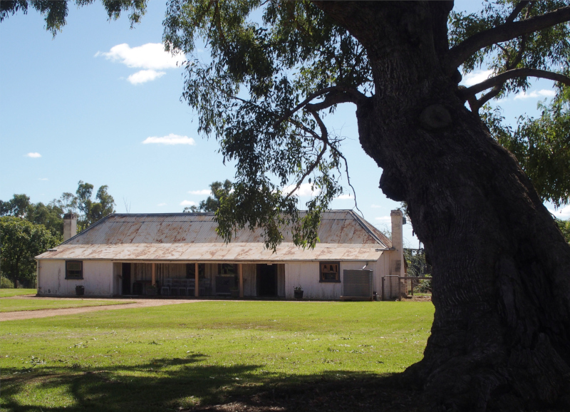 Rear view of the homestead
