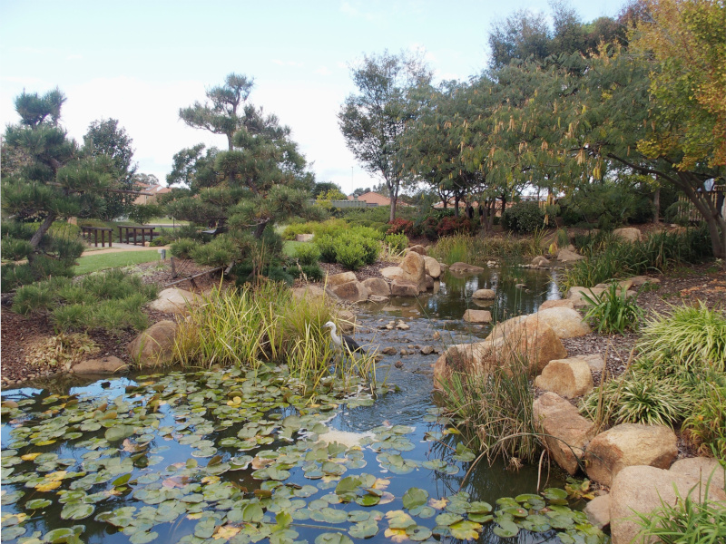 Japanese Garden