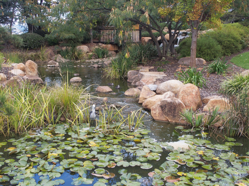 Japanese Garden