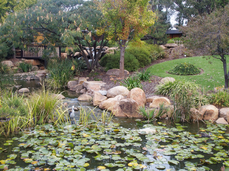 Japanese Garden