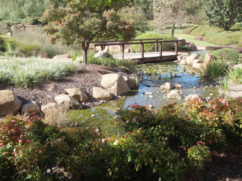 Japanese Garden