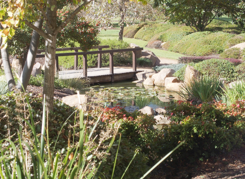 Japanese Garden