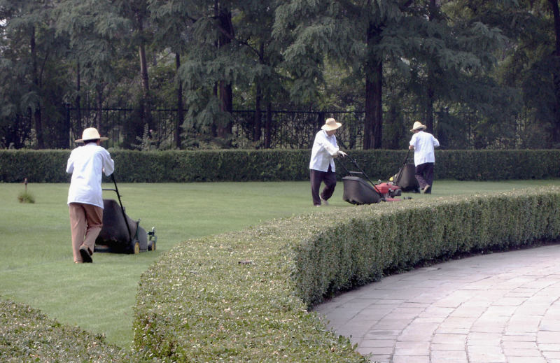 Tai Chi for mowers, near the Stele Pavillion