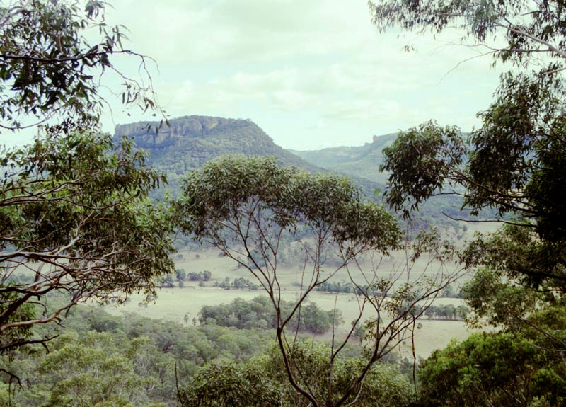 Donkey Mountain