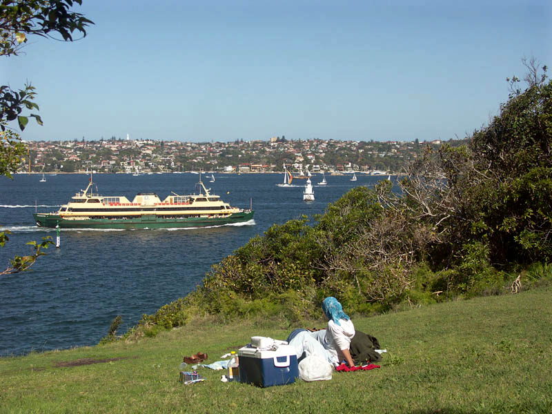 Good place for a picnic