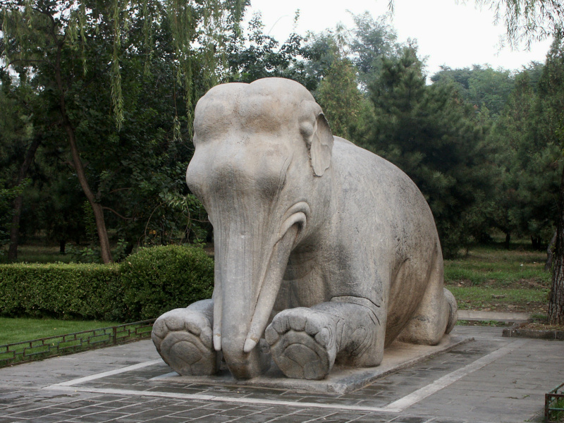 Gentle elephant