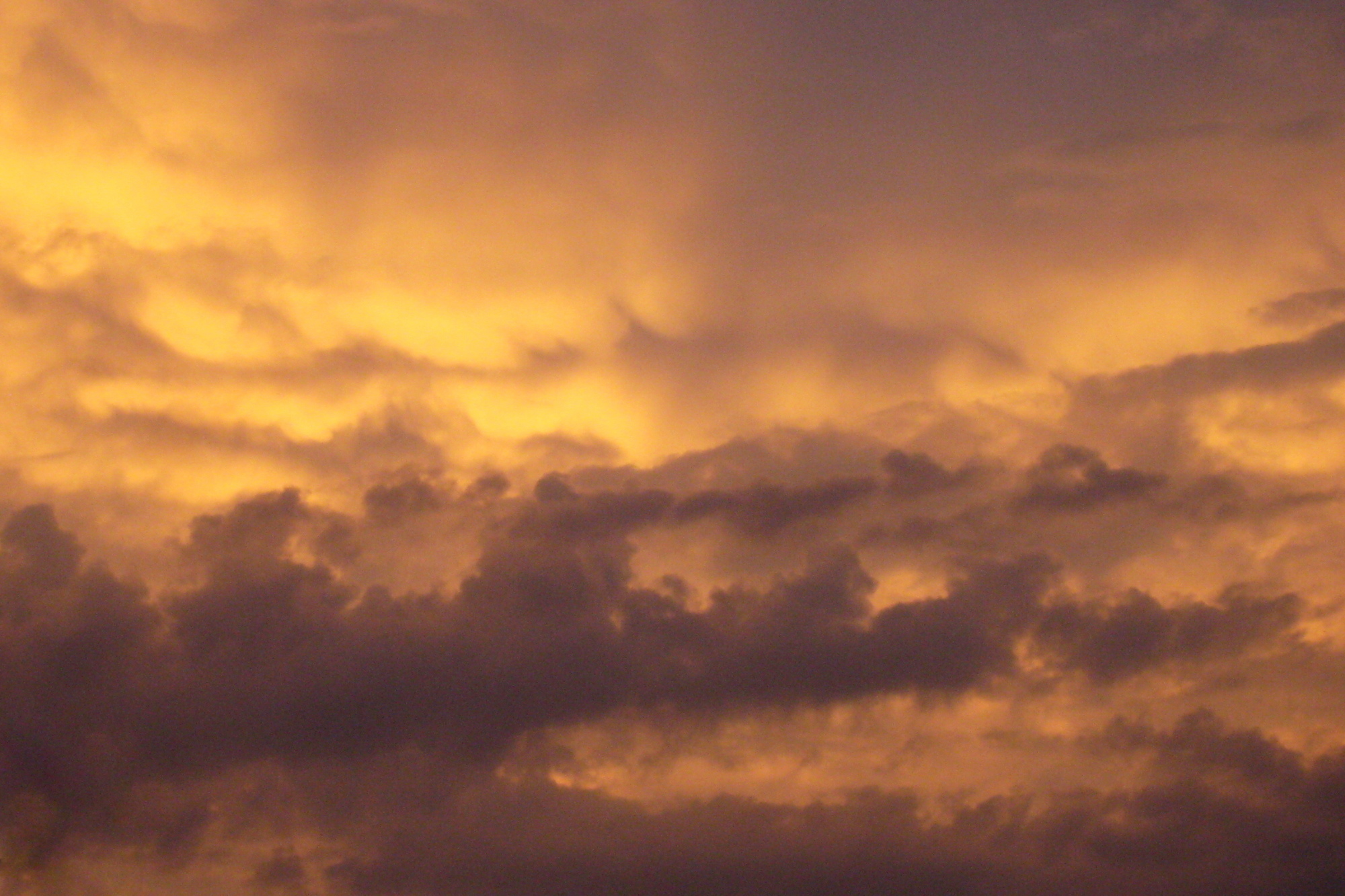 150605_502w.JPG