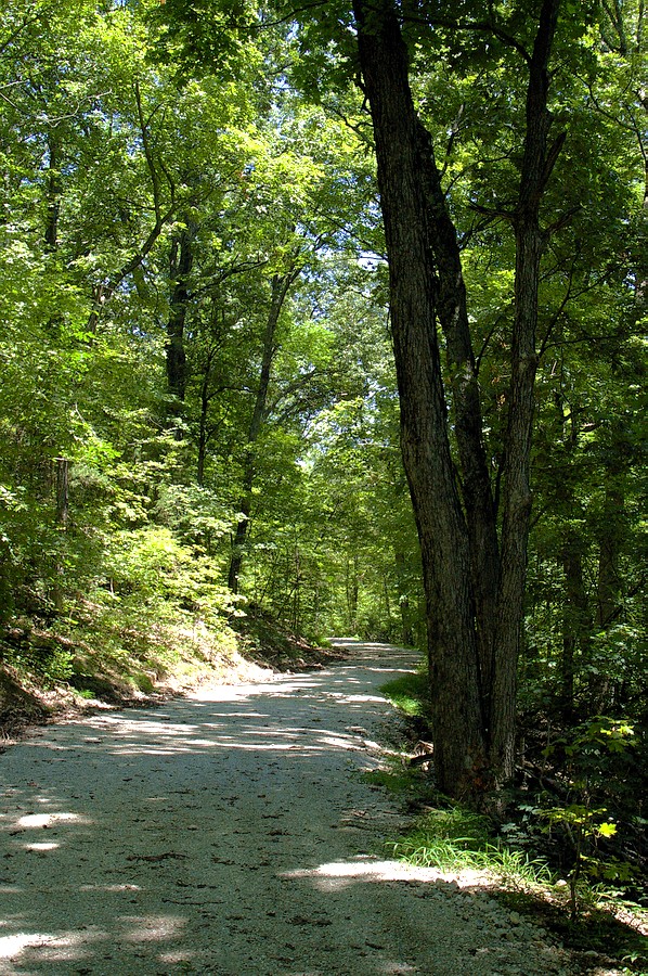 P8933.JPG