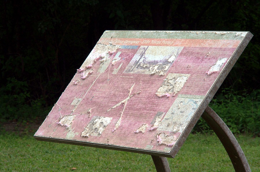 xenarP2154.JPG