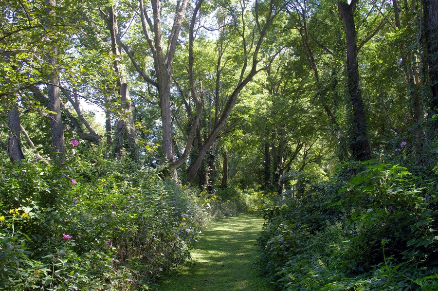 P9301.JPG