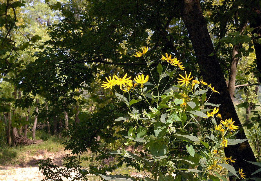 P9816.JPG