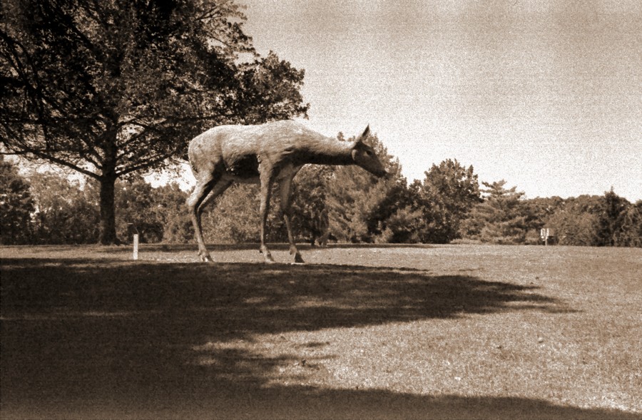 m2.JPG