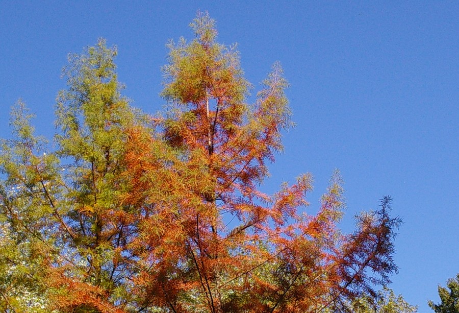P8572.JPG
