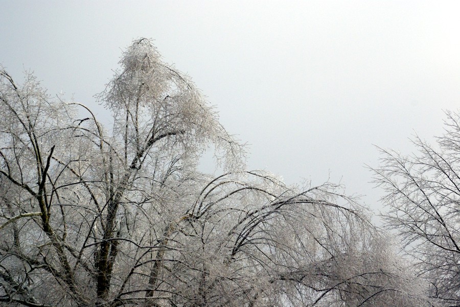 P2218.JPG