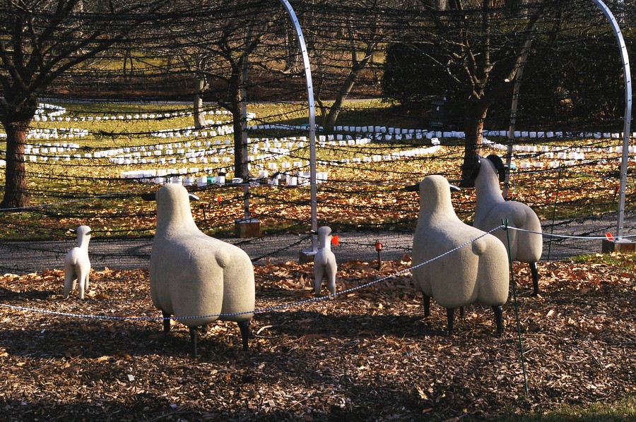 P0901.JPG