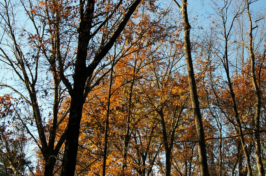 P2371.JPG