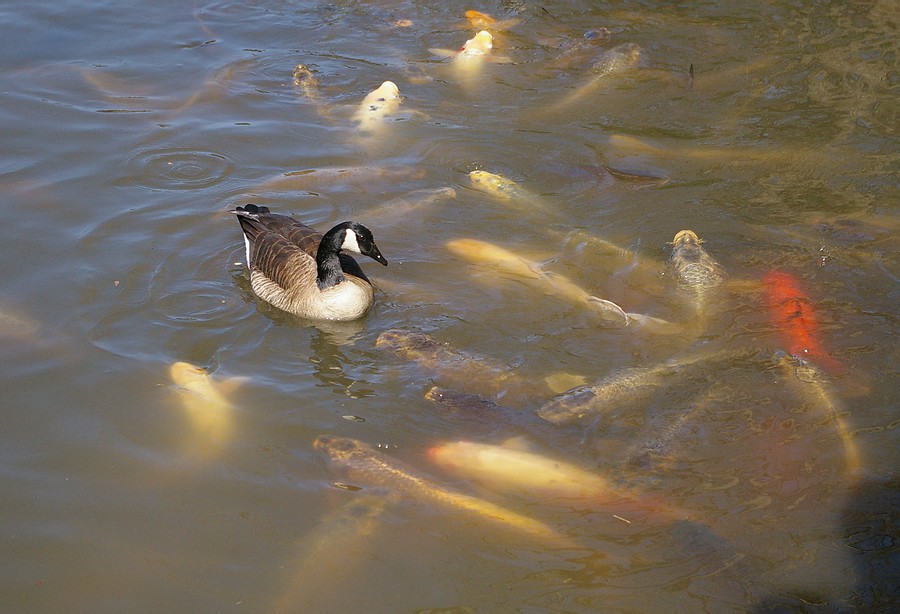 P9347.JPG